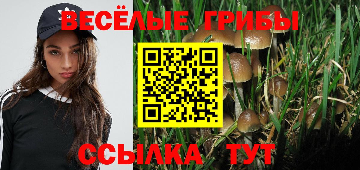 Тула  где найти   Галлюциногенные грибы Psilocybine cubensis  Вход с VPN  Псилоцибиновые грибы Magic Shrooms 