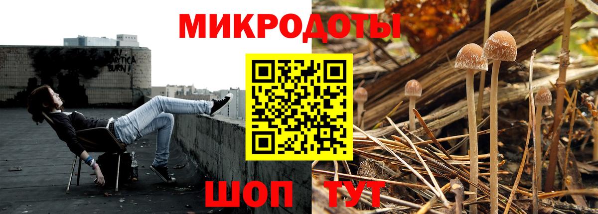 Галлюциногенные грибы Psilocybine cubensis Тула
